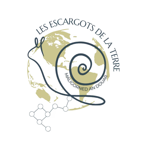 Logo fond transparent Les Escargots de la Terre